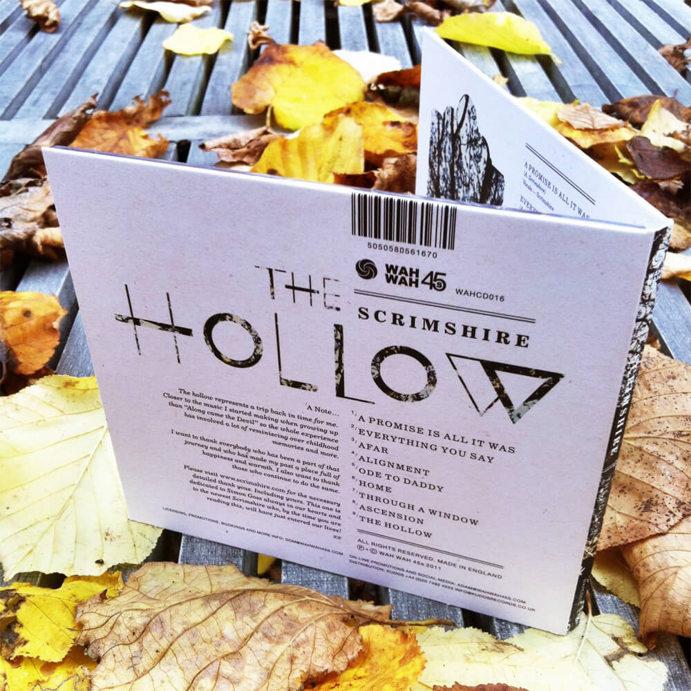 The Hollow back cover