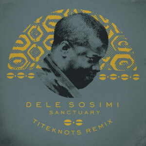 Dele Sosimi Sanctuary Titeknots remix