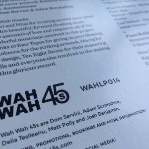 Time Grove, More Than One Thing, sleeve detail