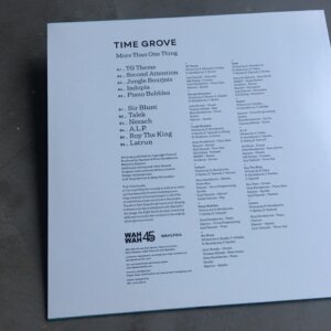 Time Grove, More Than One Thing back cover